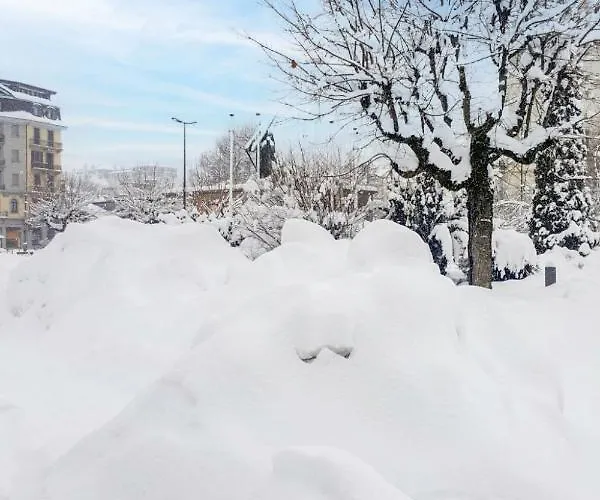 Jonquilles-7 By Interhome